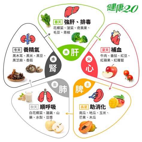 五行食物